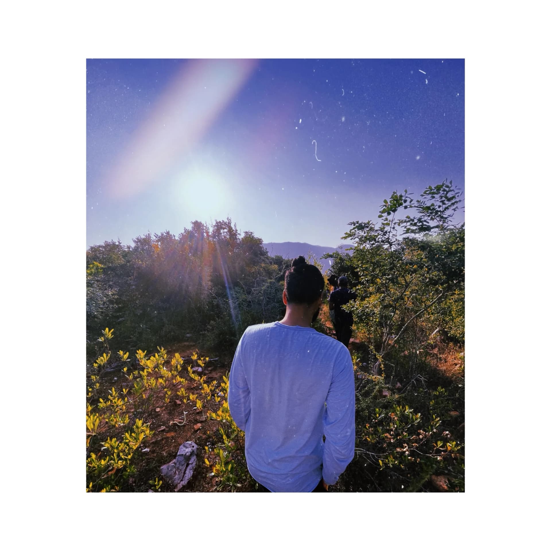 Profile